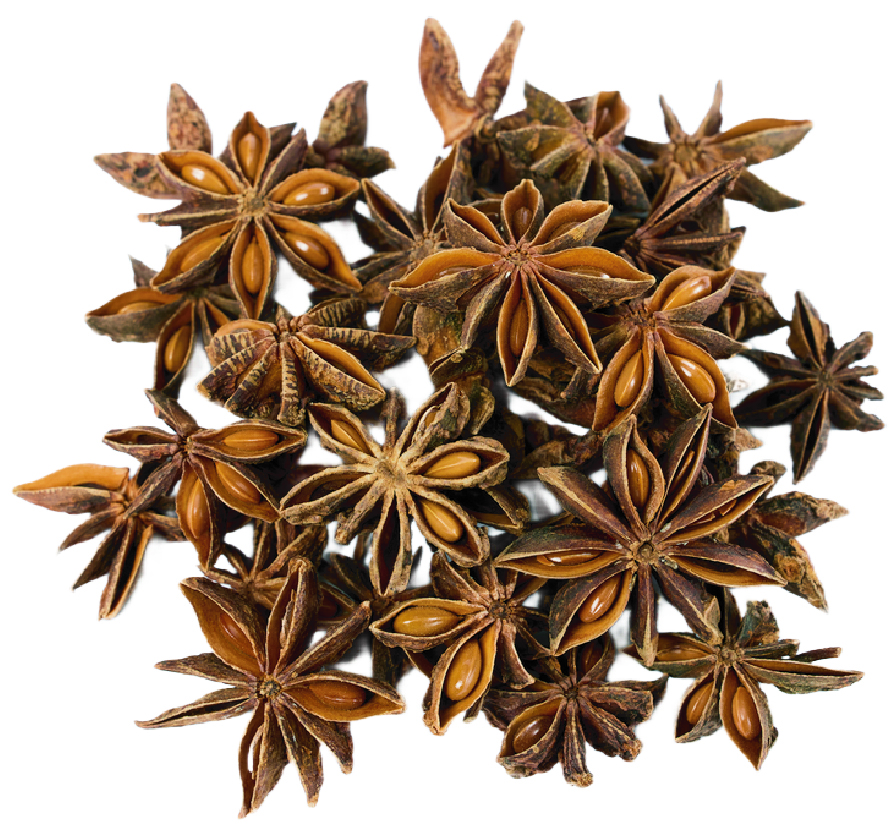 Star Anise.jpg