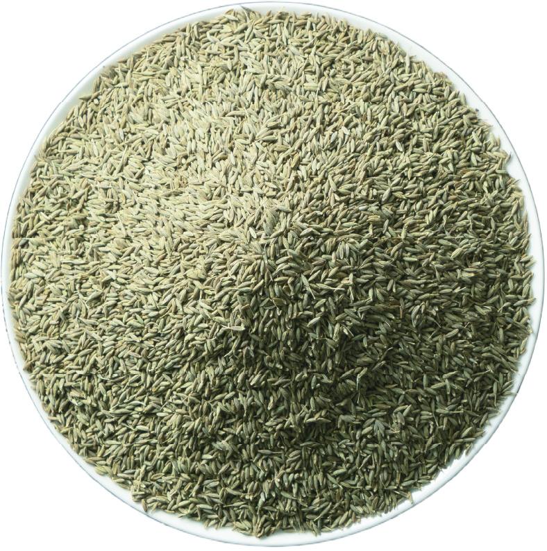 Cumin.jpg