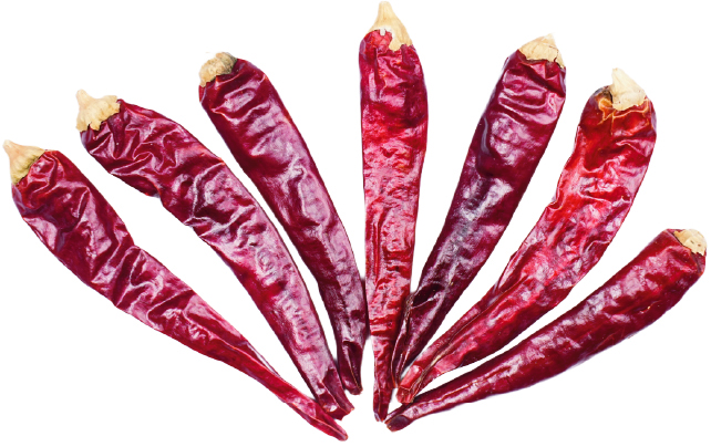 Yan Chili